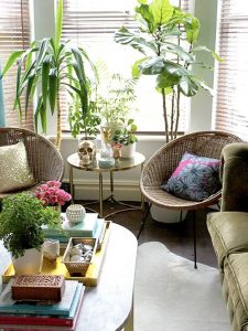 3 cách trang trí hiệu quả với cây trồng trong nhà